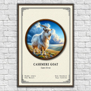 Cashmere Goat Zoology Series Poster