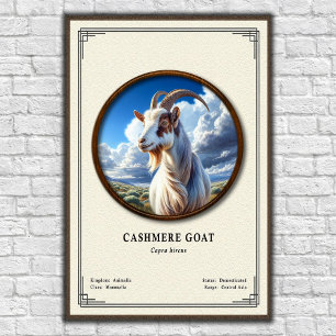 Cashmere Goat Zoology Series Poster