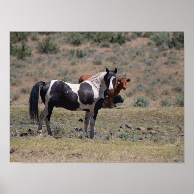 Casino Poster (Front)