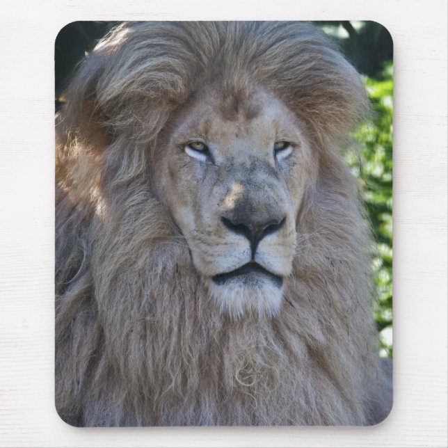 Casper Mousemat (Front)