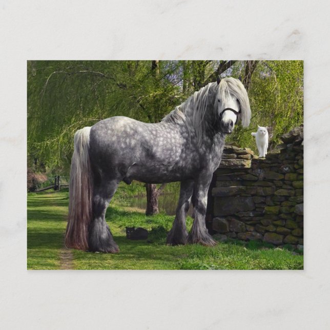 "Caspian & His Cats" Postcard (Front)