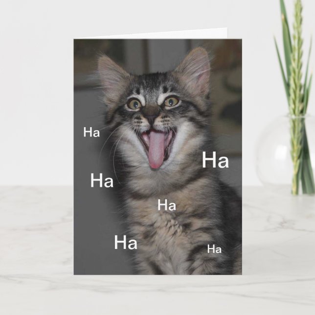 Caspian Kitten Hospital Get Well Soon Card (Front)