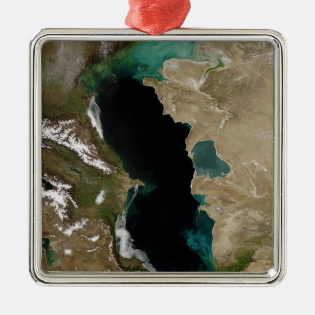Caspian Sea Metal Tree Decoration (Front)