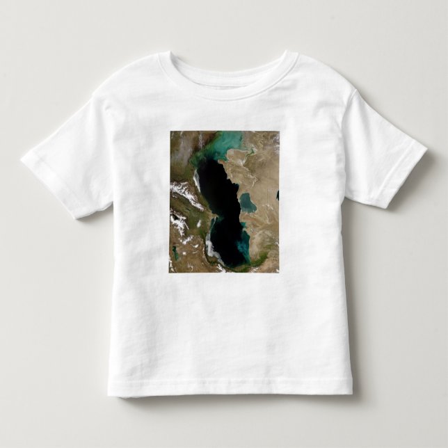 Caspian Sea Toddler T-Shirt (Front)