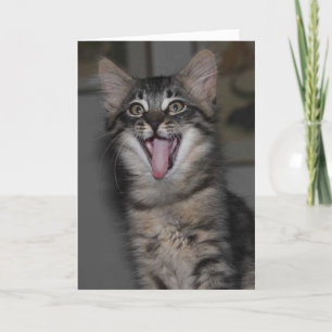 Caspian Yawning Kitten Blank Greeting Card
