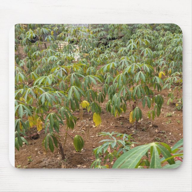 Cassava cultivation mouse mat (Front)