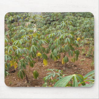 Cassava Plantation Mouse Mat