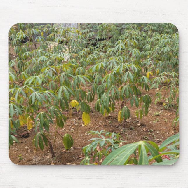 Cassava Plantation Mouse Mat (Front)