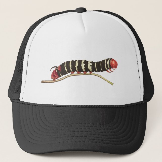 Cassava sphinx worm illustration trucker hat (Front)
