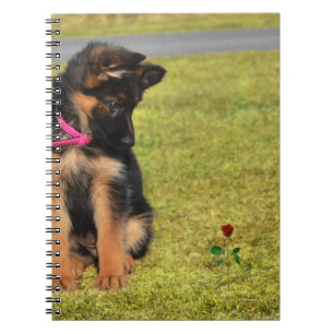 CassieRose.Redig.jpg Notebook