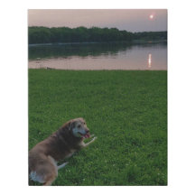 Cassiopeia in the Sunset