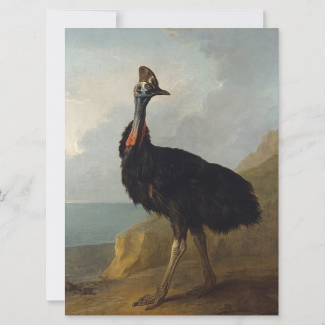 Cassowary (Australian Bird) (Wild Animal Art) Card (Front)