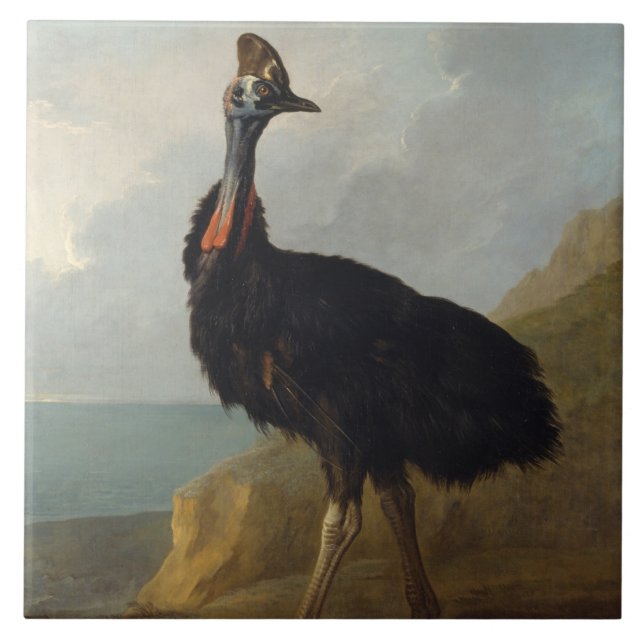 Cassowary (Australian Bird) (Wild Animal Art) Tile (Front)