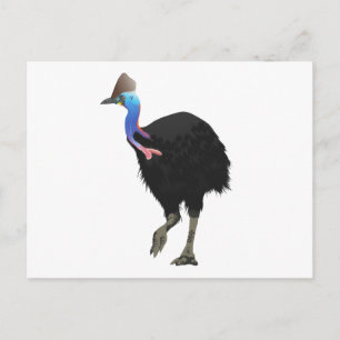 Cassowary Bird Postcard