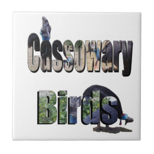 Cassowary Birds Is The Name, Tile