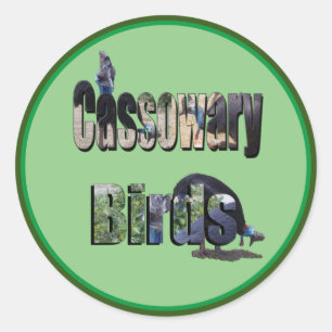 Cassowary Birds Picture Name, Classic Round Sticker