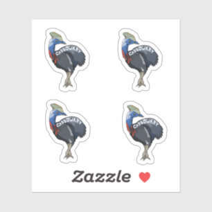 cassowary colored woth text