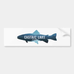 Castaic Lake California Fish Bumper Sticker