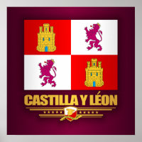 Castilla y Leon Flag
