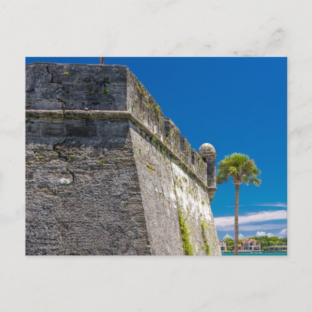 Castillo de San Marcos National Monument, FL Postcard (Front)