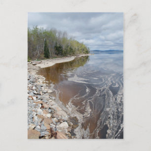 Castine Postcard - 1