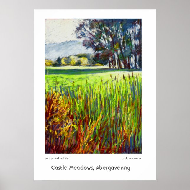 Castle Meadows, Abergavenny Print or Poster (Front)