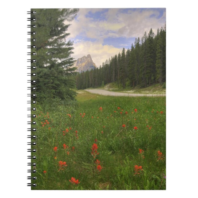 Castle Mountain Banff Notebook (Front)