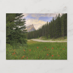 Castle Mountain Postcard