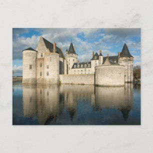 Castle of Sully sur Loire Postcard