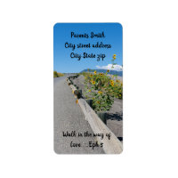 Casual country west mountain road flowers return