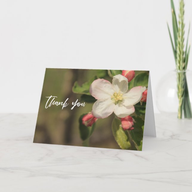 Casual Handwriting Thank You Apple Blossoms Card (Front)