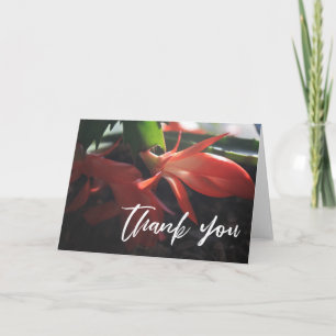 Casual Handwriting Thank You Christmas Cactus Card