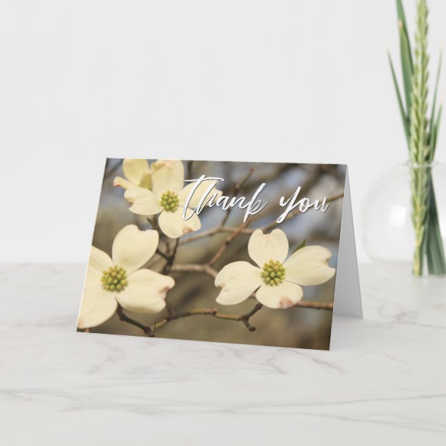 Casual Handwriting Thank You Dogwood Blossoms Card (Front)