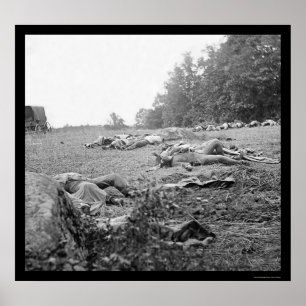 Casualties During the Battle of Gettysburg 1863 Poster
