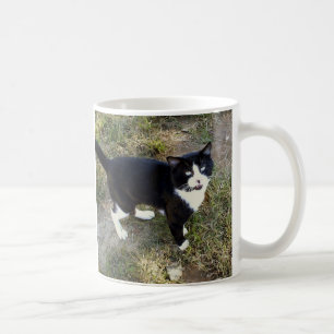 Cat 10, Mug