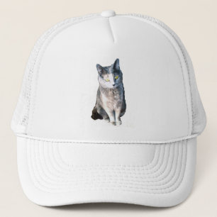 Cat 11, Hat