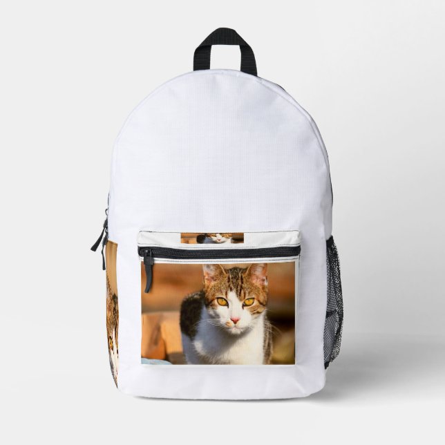Cat 11 printed backpack (Front)