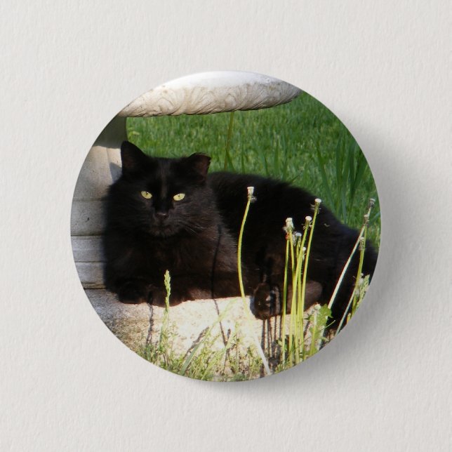 Cat 120 ~ button (Front)