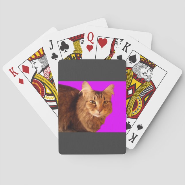 Cat 14 Playing Cards (Back)