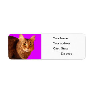Cat 14 Return Address Label