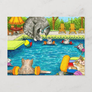Cat 383 postcard
