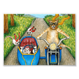 Cat 384 funny cat & mice on motorcycle photo print