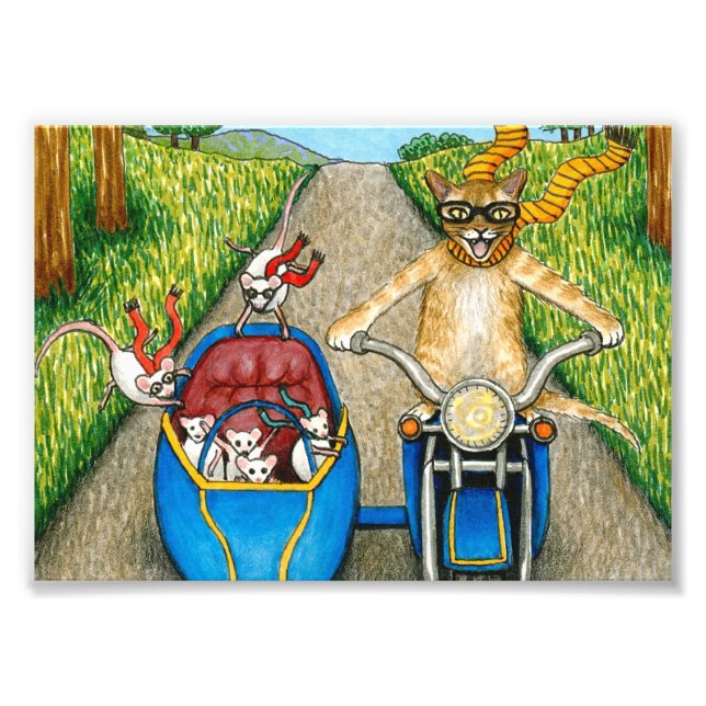 Cat 384 funny cat & mice on motorcycle photo print (Front)