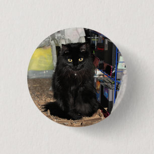 Cat 3 cm round badge