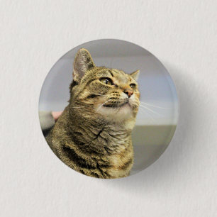 Cat 3 cm round badge
