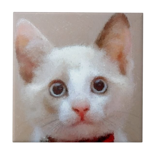 cat 3 tile (Front)