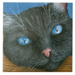 Cat 414 Black Cat Tile