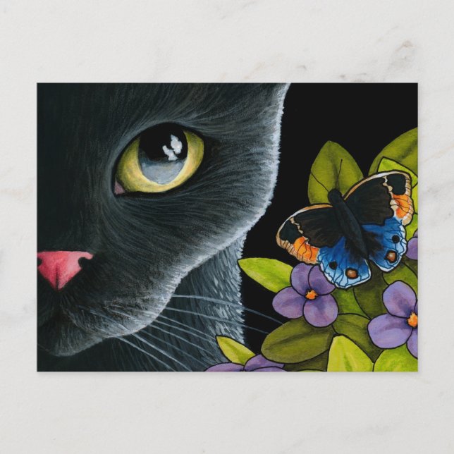 Cat 557 postcard (Front)