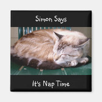 Cat 7, It's Nap Time, Simon Says, Magnet