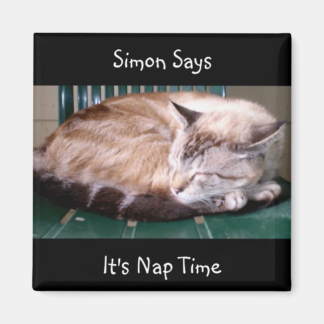 Cat 7, It's Nap Time, Simon Says, Magnet (Front)